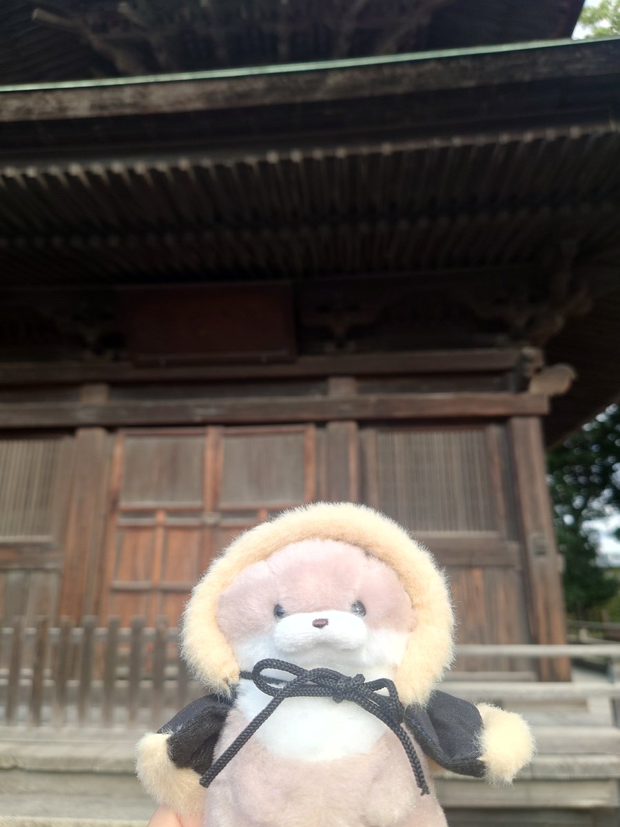 XYZ__48's tweet photo. #カワウソうそやん
#ぬい撮り
#ぬい活

母を病院へ送りにいき
明後日の手術が無事に成功するように
みんなでお参りしてきました⛩️ https://t.co/GFSGbWAu50