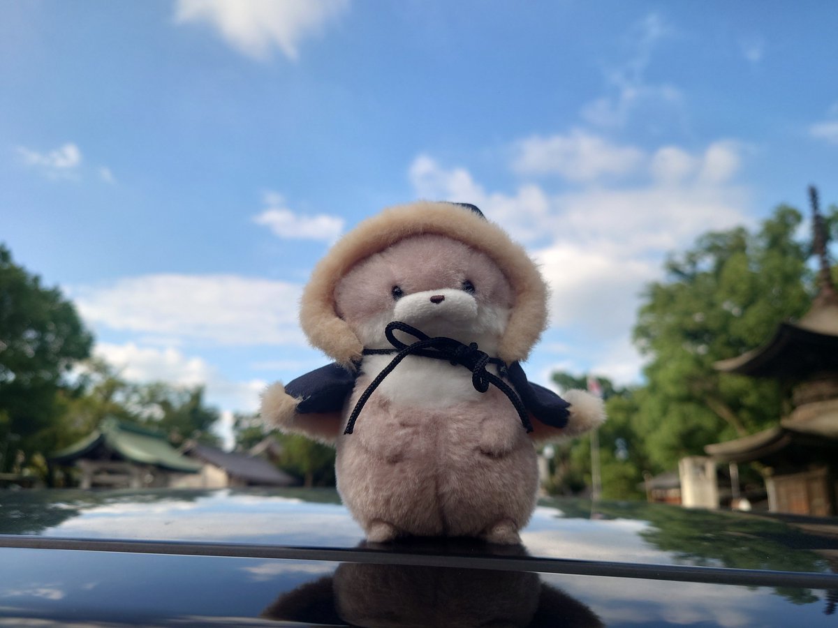 XYZ__48's tweet photo. #カワウソうそやん
#ぬい撮り
#ぬい活

母を病院へ送りにいき
明後日の手術が無事に成功するように
みんなでお参りしてきました⛩️ https://t.co/GFSGbWAu50