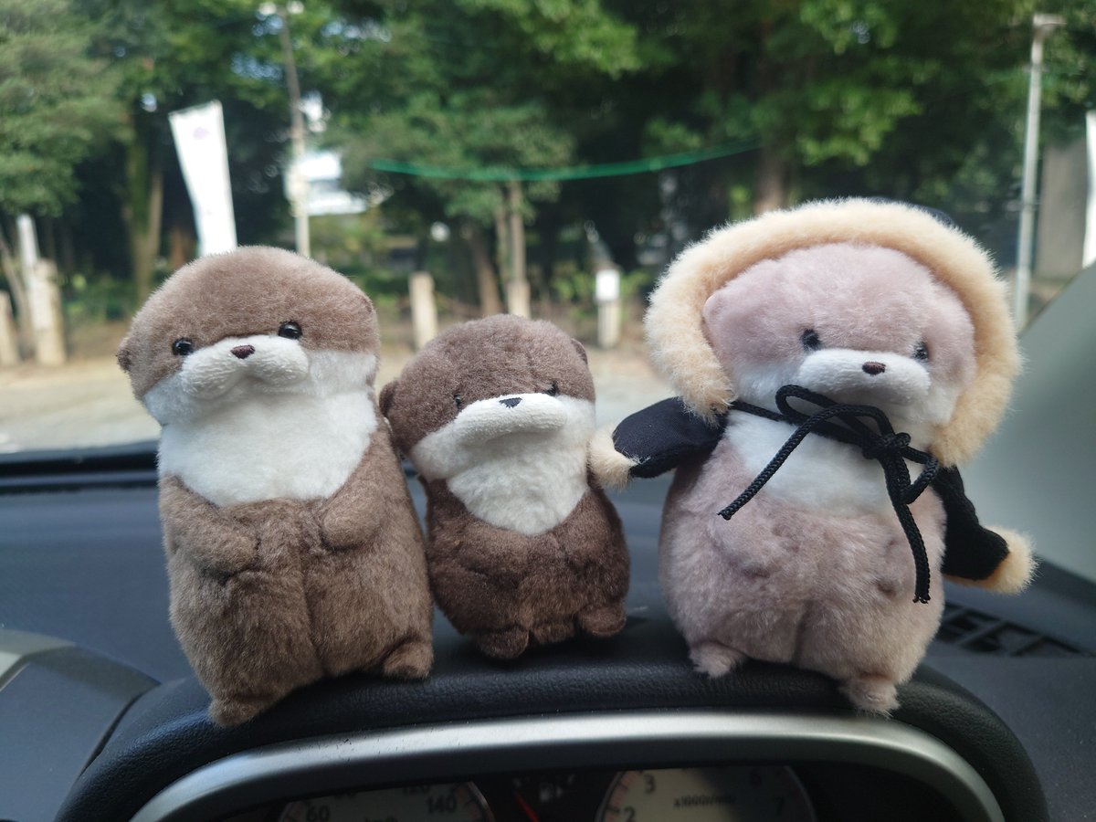 XYZ__48's tweet photo. #カワウソうそやん
#ぬい撮り
#ぬい活

母を病院へ送りにいき
明後日の手術が無事に成功するように
みんなでお参りしてきました⛩️ https://t.co/GFSGbWAu50