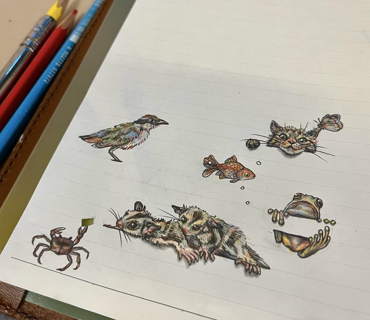 _harenatsu's tweet photo. #多分私しかやってない

Xの企画で、22000匹の動物を描く事になり、制作開始から現在7年目 6165匹目です。 https://t.co/YL6JNWBT03