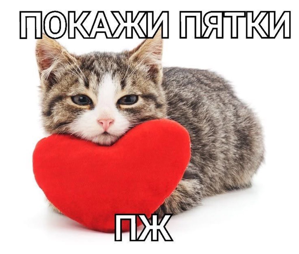 dinxx63's tweet photo. всем добро утро, хорошего вам настроения https://t.co/tbcYnmSNSN