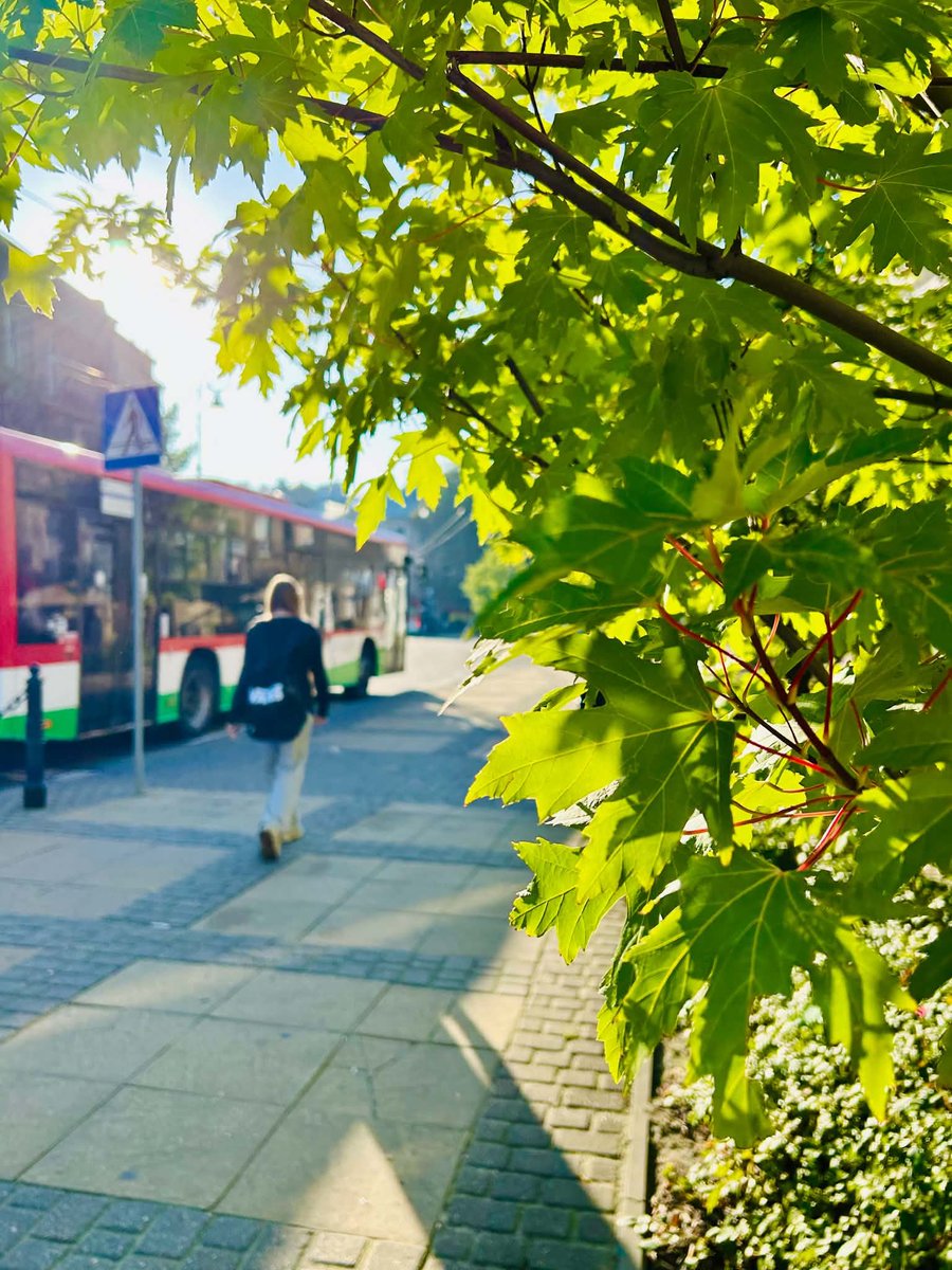 Miasto_Lublin's tweet photo. Dzień dobry, #Lublin ☀️ Przed nami ostatni dzień września. Niech ten finisz miesiąca będzie spokojny i pełen małych powodów do uśmiechu.
#LublinCity #DzienDobry #Jesien https://t.co/ItjERrCOMy