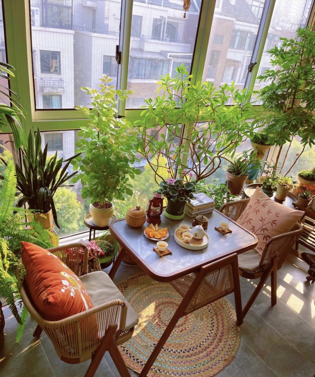 jamesdan788417's tweet photo. My tiny balcony now has 3 succulents , and I finally get to enjoy morning coffee in the sun—small moves make big cozy changes!， https://t.co/xORHlEouec