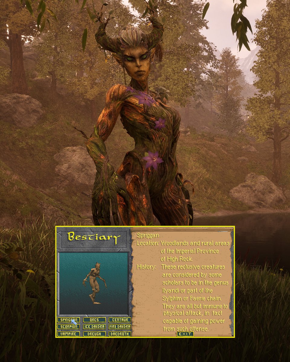 ElderScrolls's tweet photo. Across all of Tamriel and throughout the eras, how many of these familiar foes have you faced? ⚔️

Thank you to The Imperial Library for combing through the archives for this lore, you can read more #ElderScrolls lore here: https://t.co/lH49mn3leS https://t.co/9YuRjVejC7