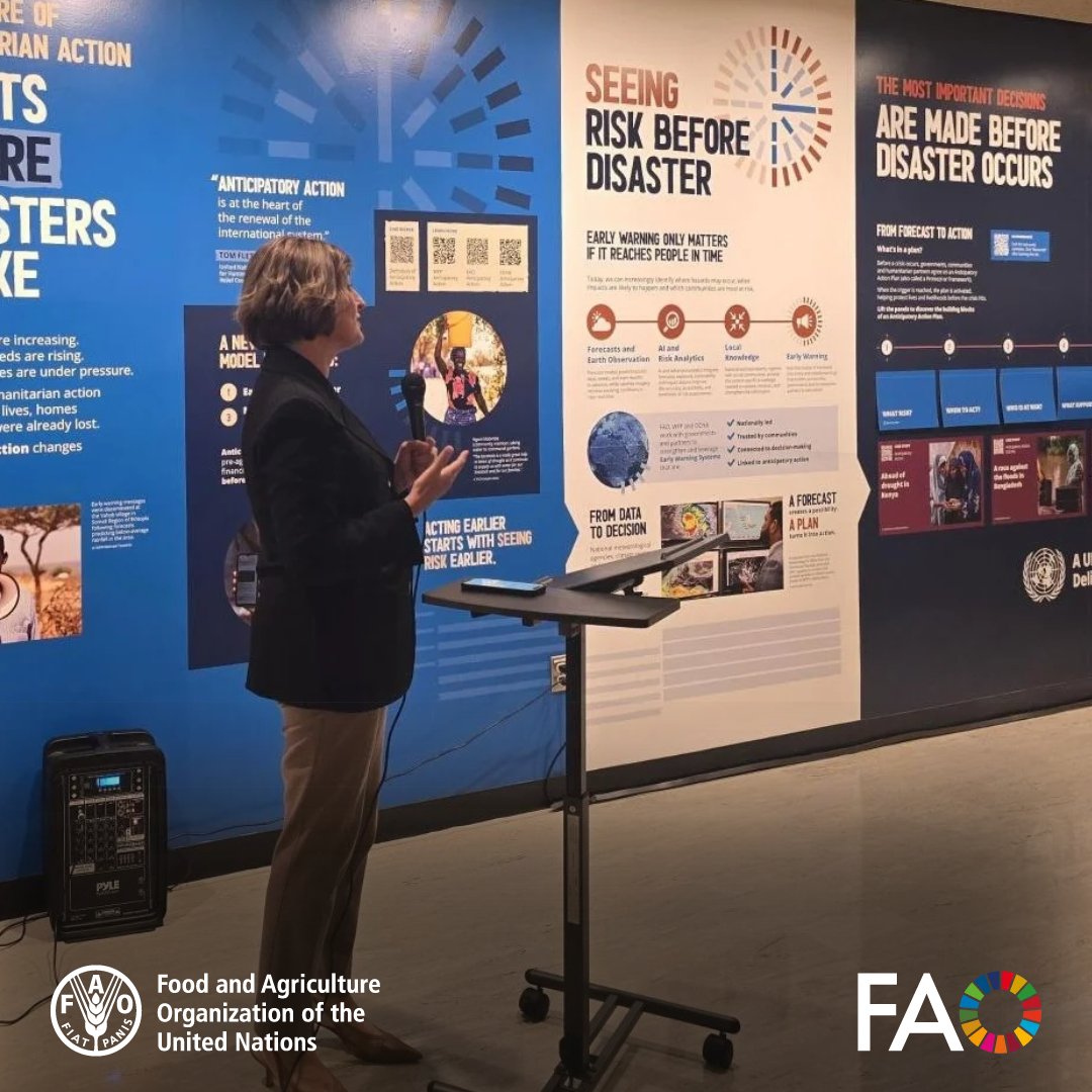 FAOemergencies's tweet photo. This month, UN agencies gathered at the UNGA exhibit in New York on #AnticipatoryAction.

Ahead of a strong El Niño, @FAO has the forecasts, systems &amp; know-how to act before a crisis hits — protecting crops, livestock, assets, food security &amp; livelihoods.

https://t.co/EFyR6JiqQJ https://t.co/Fr0sSlMmH0