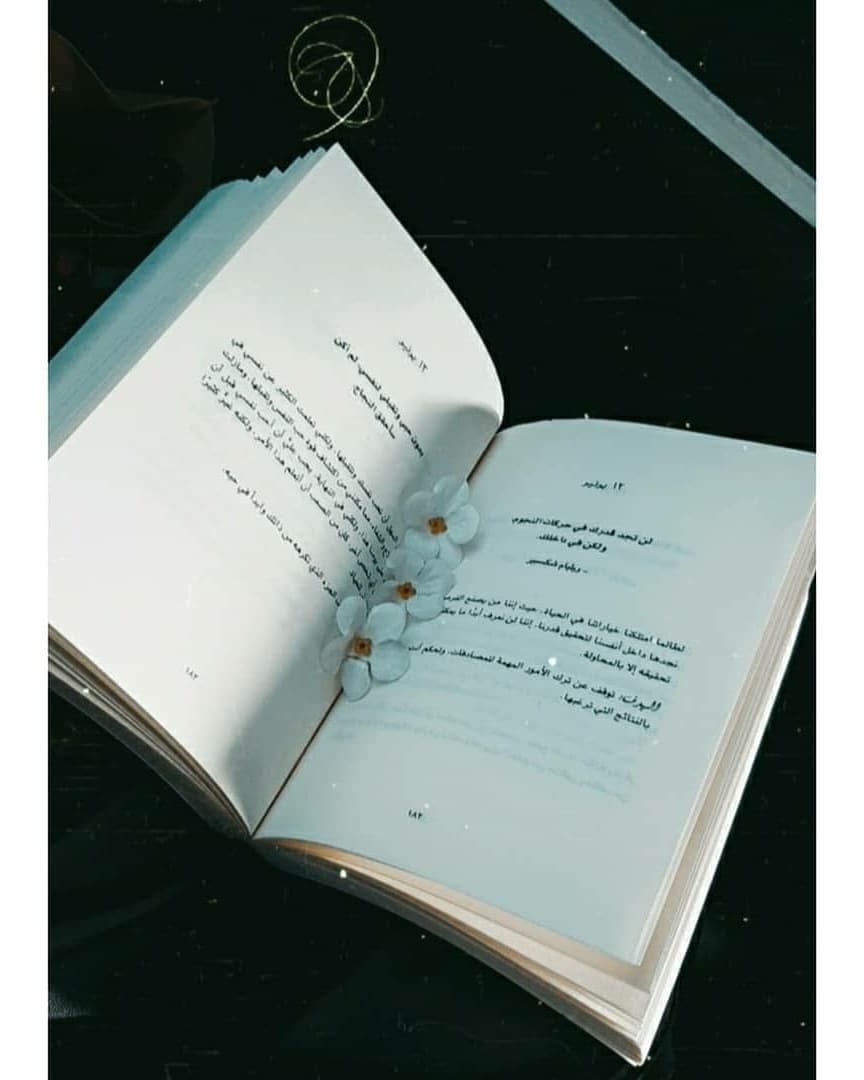 hazelcarterbqi5's tweet photo. قويًا آبق
ديمي لوفاتو https://t.co/odgrCzcKe4