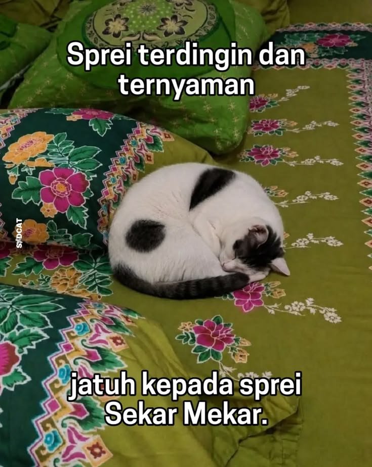 madulemonu tweet picture