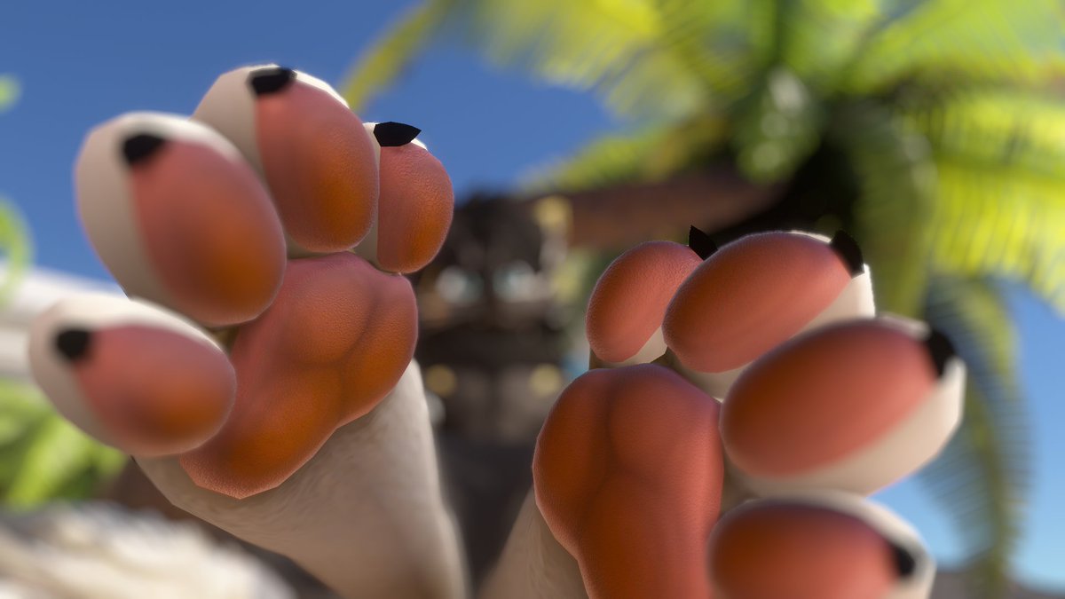 FengLion00's tweet photo. paws!!! https://t.co/eKYLWqi6E8