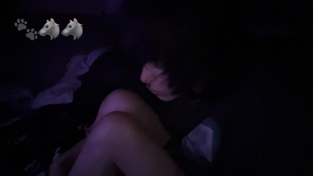 555Gutzurmom's tweet photo. soo sleepyyy 🐶
#emoboy #emohair #puppy #puptwt #puppyboy #emoo https://t.co/vn1nLmW72d