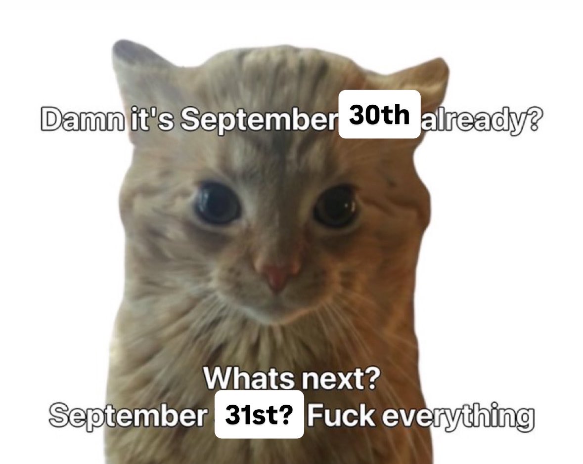 literallymecats's tweet photo. https://t.co/vbZrrleKWV