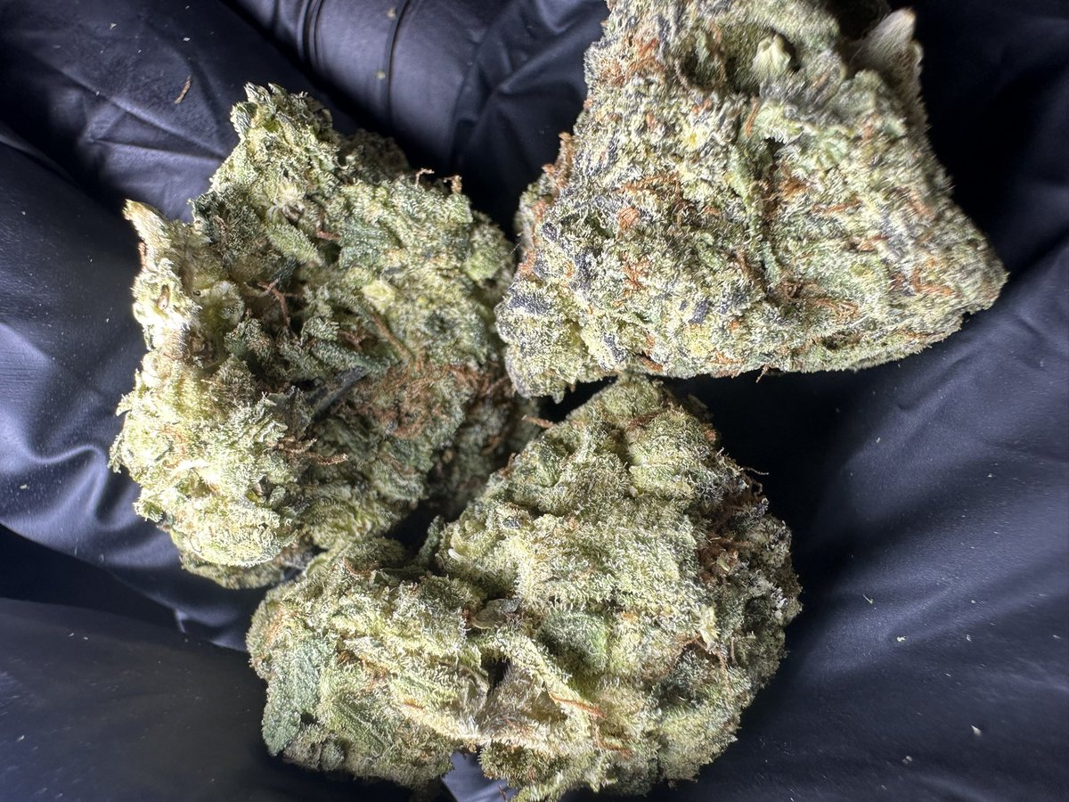 420culture_0's tweet photo. Make sure you bake today ooo https://t.co/s3CiYJZeXD