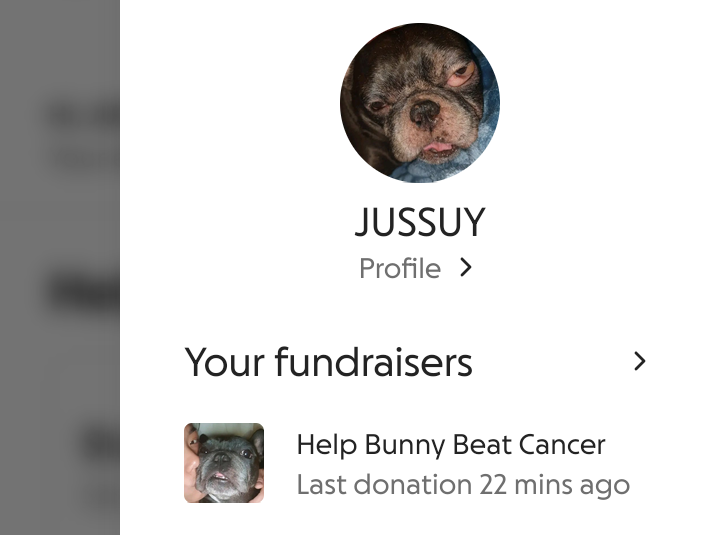 MatildaR42's tweet photo. Thanks to everyone donating to help raise Bunny's treatment expenses. May God bless you abundantly.
https://t.co/uJrj3iX3cZ https://t.co/TndRGBJ6Hw