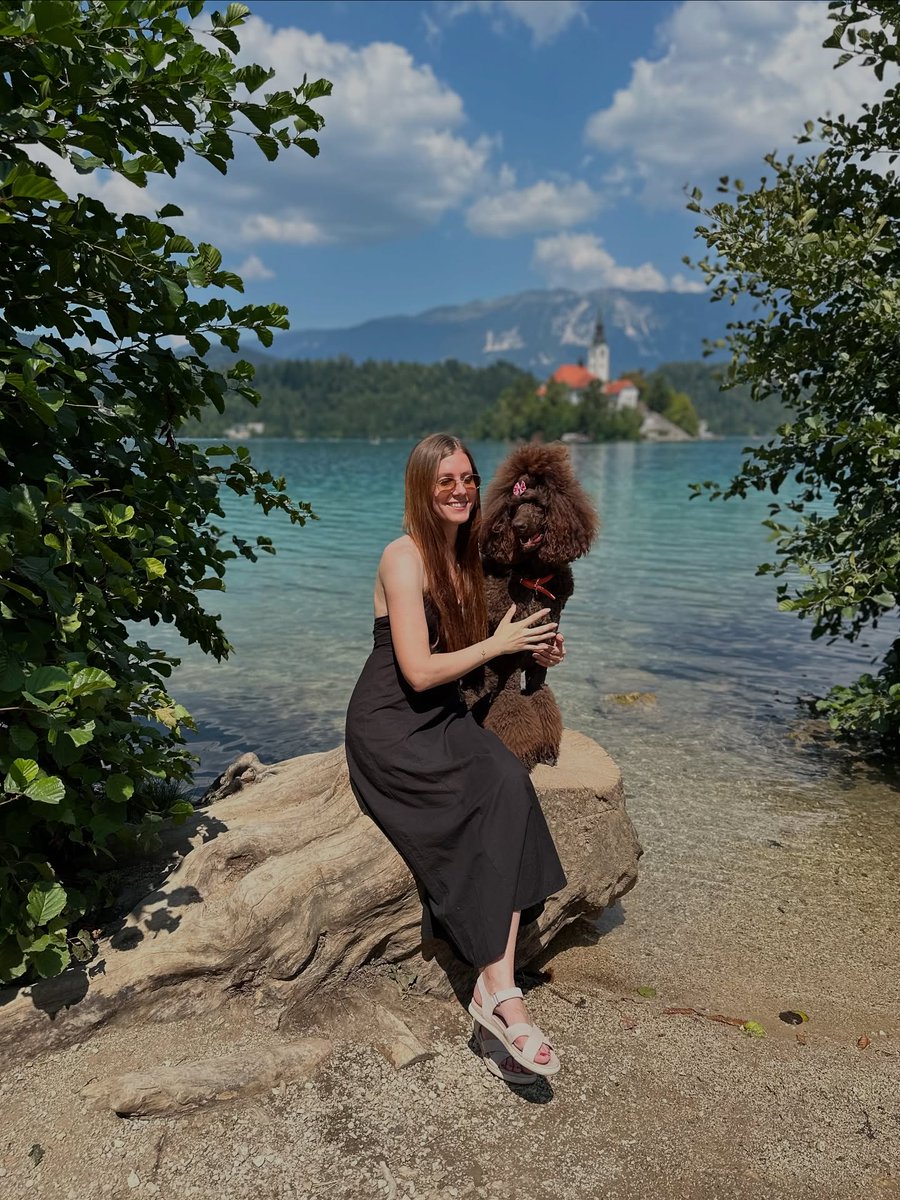 IsaiasBurrt7's tweet photo. Lake Bled is Slovenia’s most iconic landmark: turquoise water, a tiny island church, and green mountains all around. https://t.co/yLIteZBng5