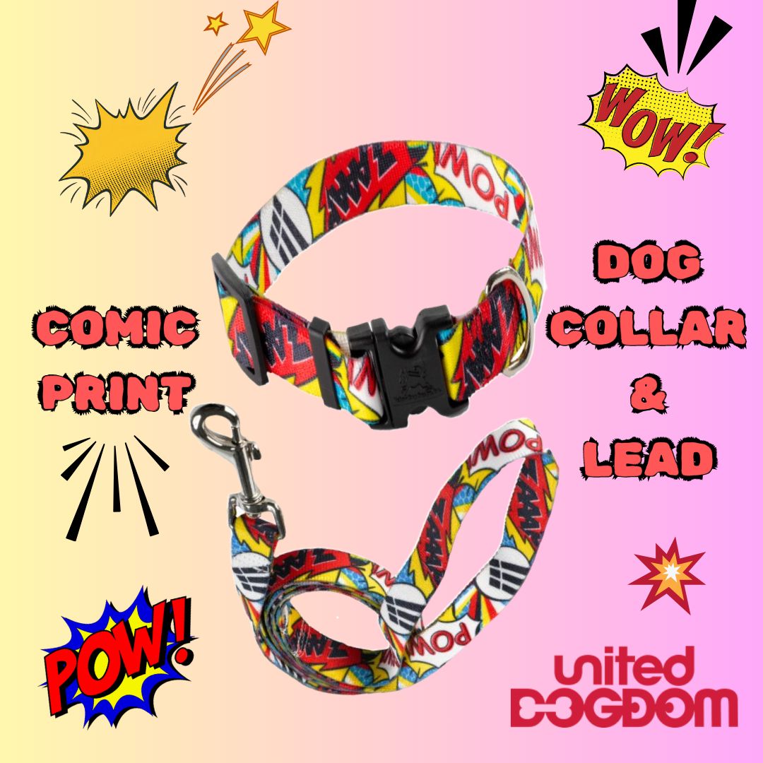 UnitedDogdom's tweet photo. The Comic Print Collar &amp; Lead is hot right now! ZAP! POW! Shop at United Dogdom https://t.co/n79WdcHbDg Happy #woofwoofwedneday
.
#dogsupplies #doglife #dogsofgreatbritain #doglove #pets #DogsofTwittter #dogwalk #thepetsbiz @goodvetandpetguide #dogs #dogsarefamily https://t.co/9yYfSSPHug
