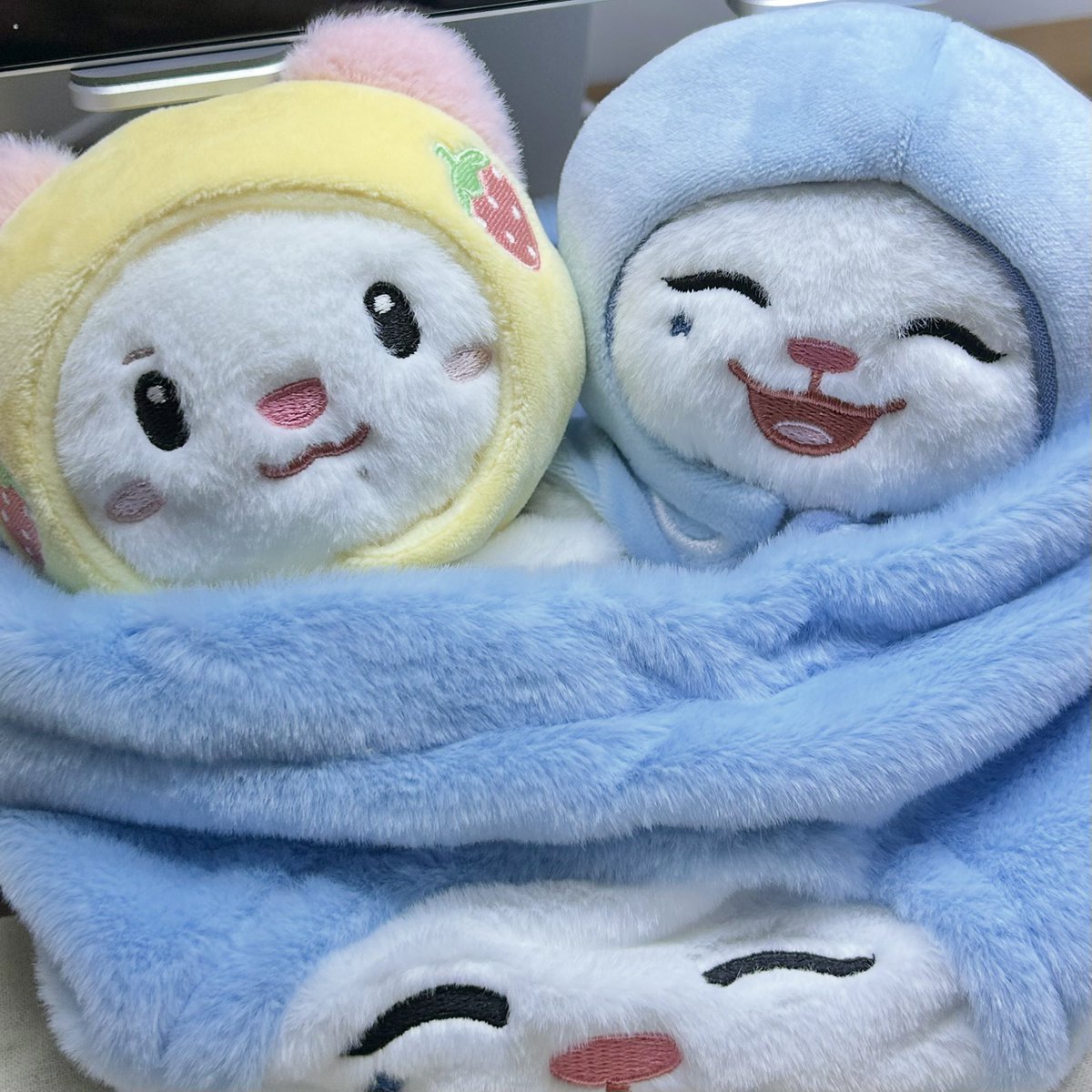 muexmmode's tweet photo. 씹존귀력말안됨 https://t.co/vP7WlOBVWD