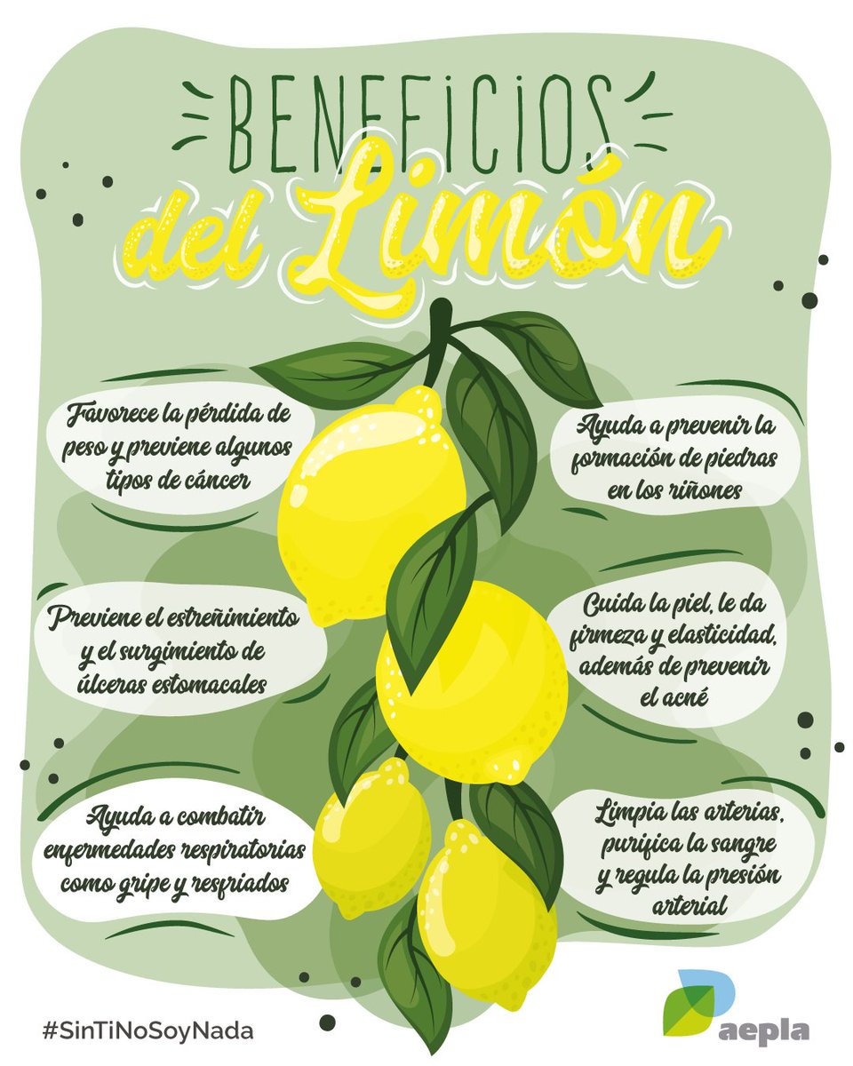 aepla_asoc's tweet photo. Entre los diferentes cultivos frutales que forman parte de nuestra alimentación, el limón 🍋 destaca por sus innumerables propiedades saludables.

Cuida tu salud incorporando este cítrico en tus hábitos nutricionales diarios. https://t.co/9sYNSSbHbj