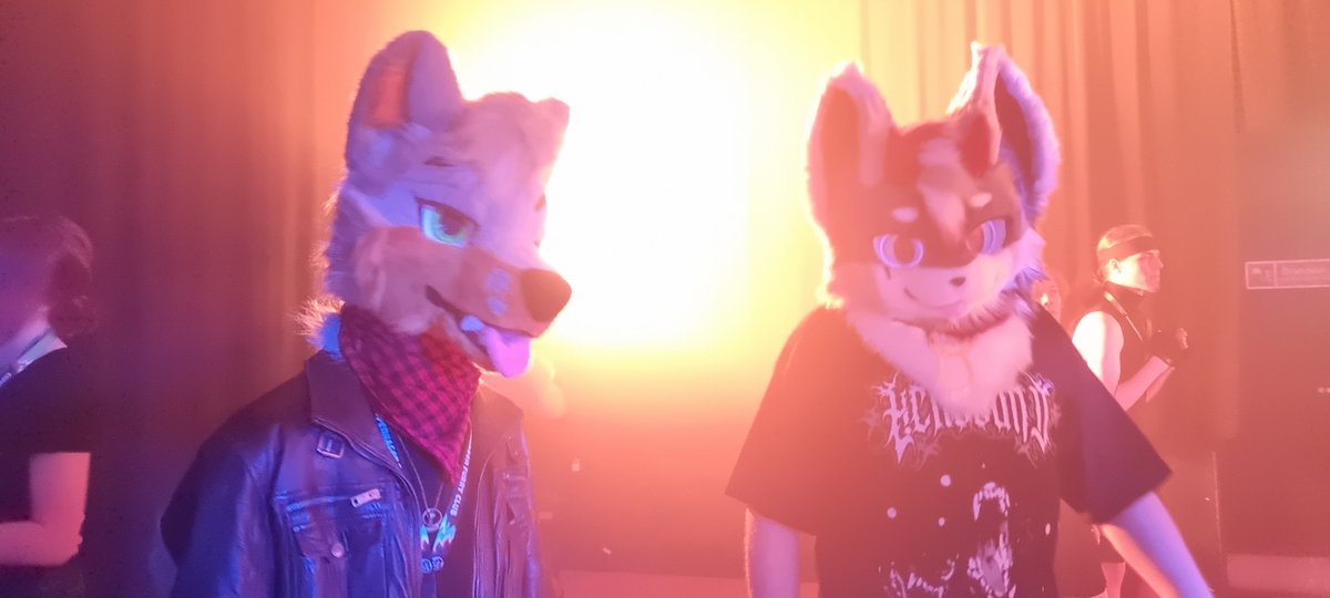 Vekta_Hellhound's tweet photo. Look at these handsome creatures 🦊🐺 https://t.co/DniWu9YqLr