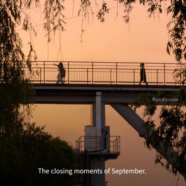 WordsCocoon's tweet photo. goodbye, september. https://t.co/1i1PqnkxOW