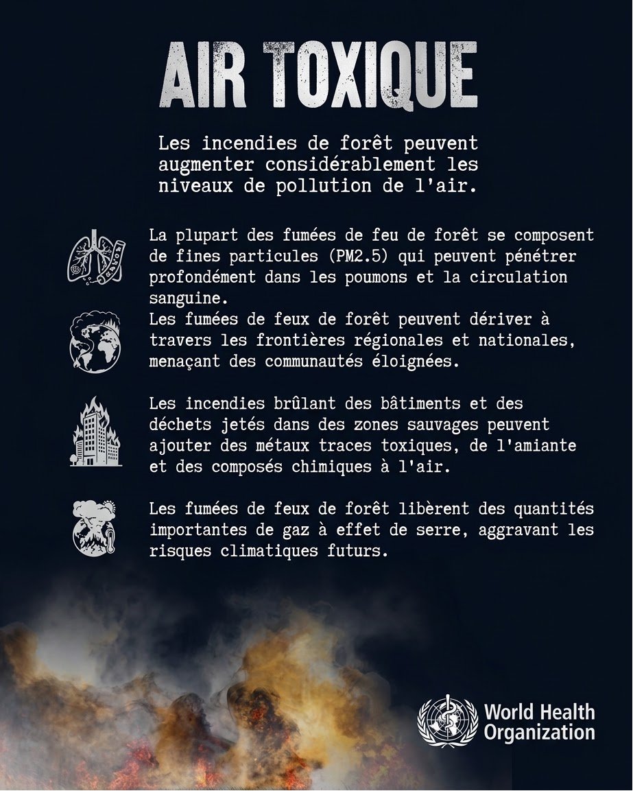 OMSRDCONGO's tweet photo. Les feux de forêt ne consument pas seulement la végétation.

Leur fumée libère dans l’air des gaz nocifs &amp; de fines particules qui peuvent être toxiques lorsqu’elles sont inhalées.

En se propageant, les incendies atteignent les habitations, les routes &amp; d’autres infrastructures. https://t.co/CnXw9R7ZhO