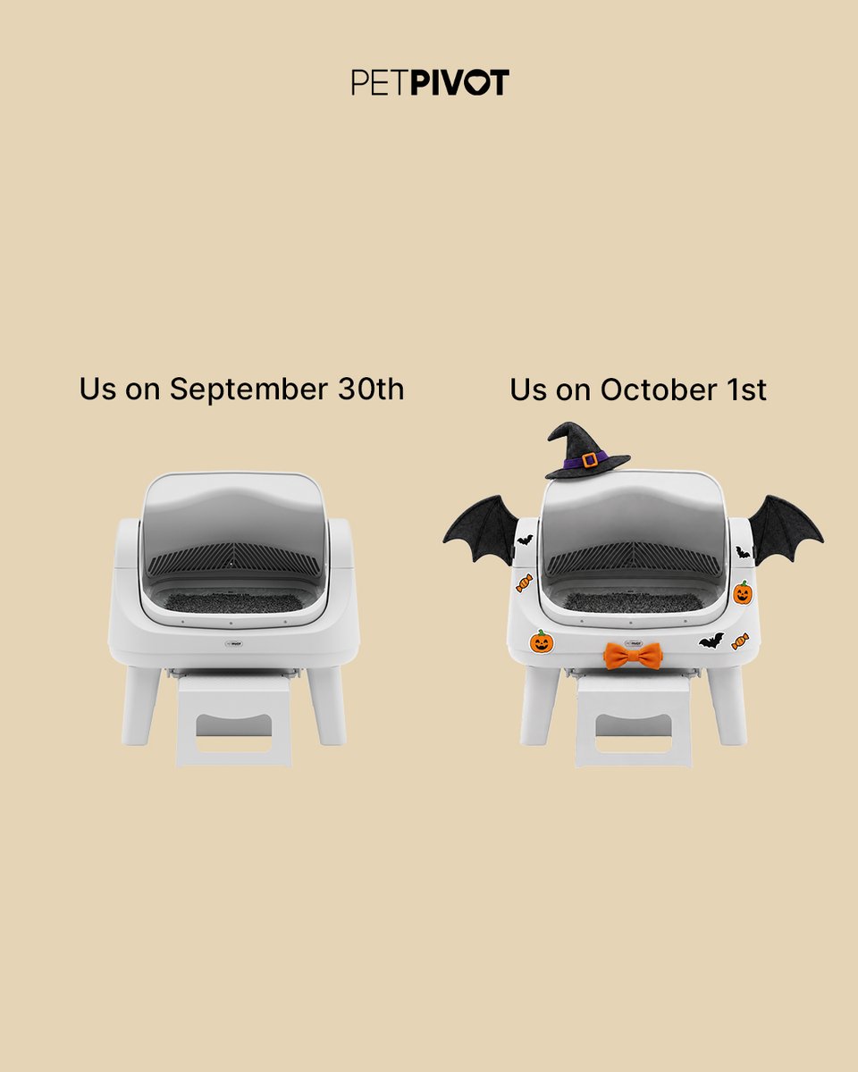 petpivot's tweet photo. October 1st hits and suddenly it’s a personality trait. 🎃
https://t.co/IQesHoCgr9
#SpookySeason #HalloweenCats #CatMeme #CatParents #CatsOfInstagram #PetPivot https://t.co/0hxawytbR7