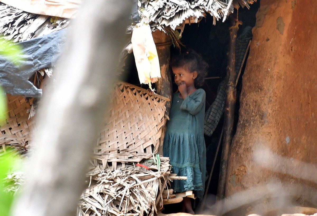 nimishaspradeep's tweet photo. @xpresstn 80 Irular kids in Madhakaduppu in #Ambur , #Tirupattur as they did not possess birth certificate due to home delivery. Parents vaguely remember  DOBs as "Pongal masam kalich" or "Aadik munnadi". But, as they got older, birth certificates became inevitable.
📸 @dineshskumar15 https://t.co/TYWe6RdLMF
