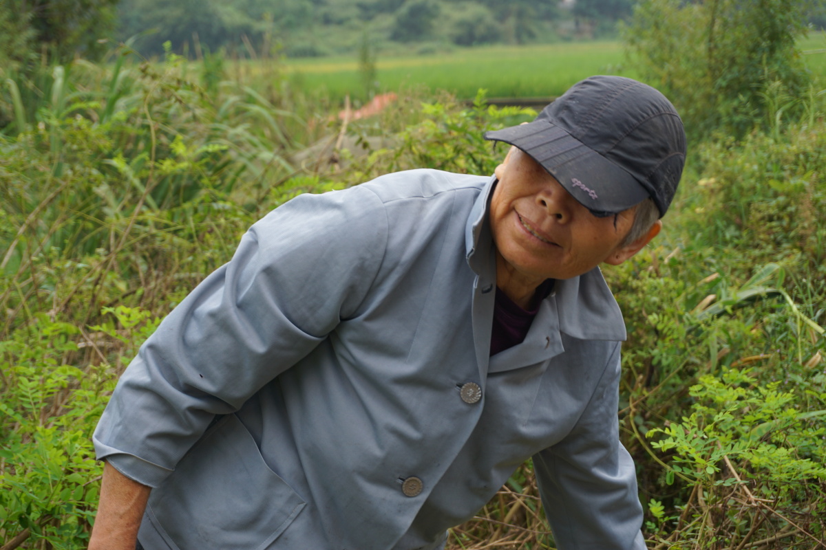 Carlo92561134's tweet photo. "Old man’s hunched (刭偻) figure on the hillside by the fertile (壤) farmland, a stone step (阶) path leading up under the clear (确) sunlight."， https://t.co/tpWTEuv3xG