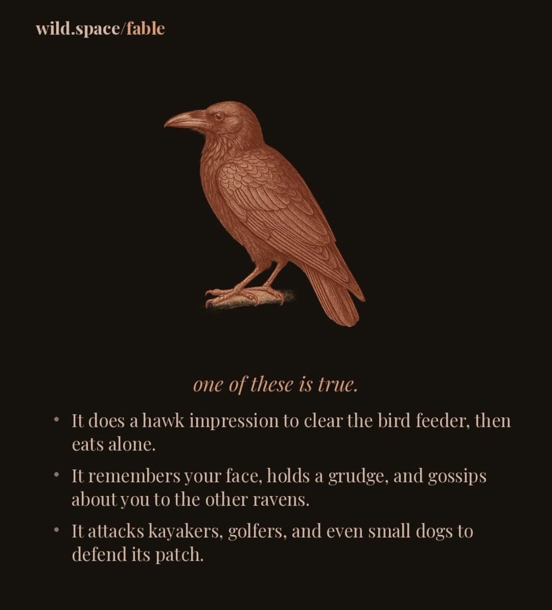 wildspacegames tweet picture