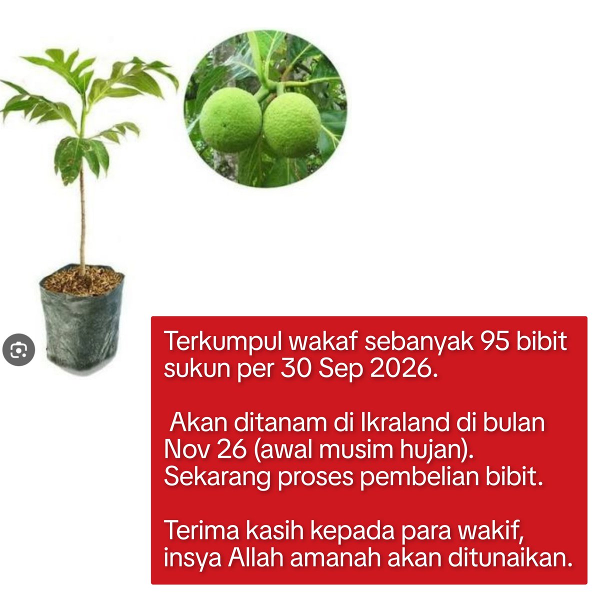 Kadar55's tweet photo. Wakaf sukun https://t.co/Zc8nYRJUFL