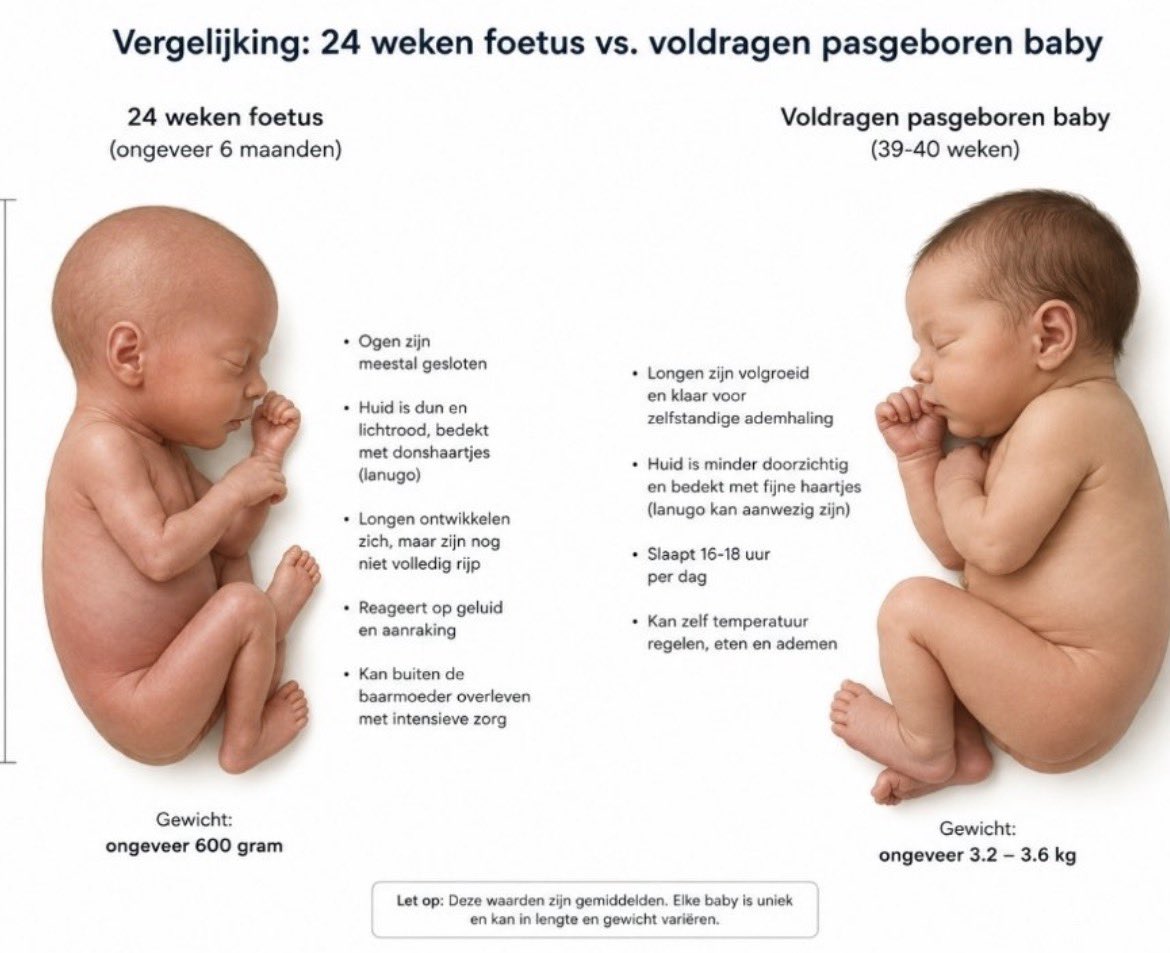 renevdbos's tweet photo. Abortus in deze fase is moord. Niets meer en niets minder. https://t.co/XtMb2rjHc0