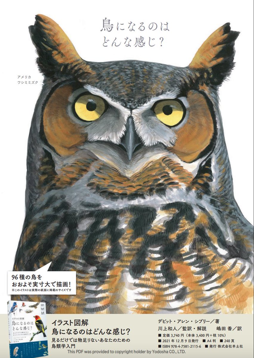 Yodosha_text's tweet photo. 鳥好きなそこのあなた！
目が合いましたね？
https://t.co/OaMbwXV8x6 https://t.co/Mulme7nCGc