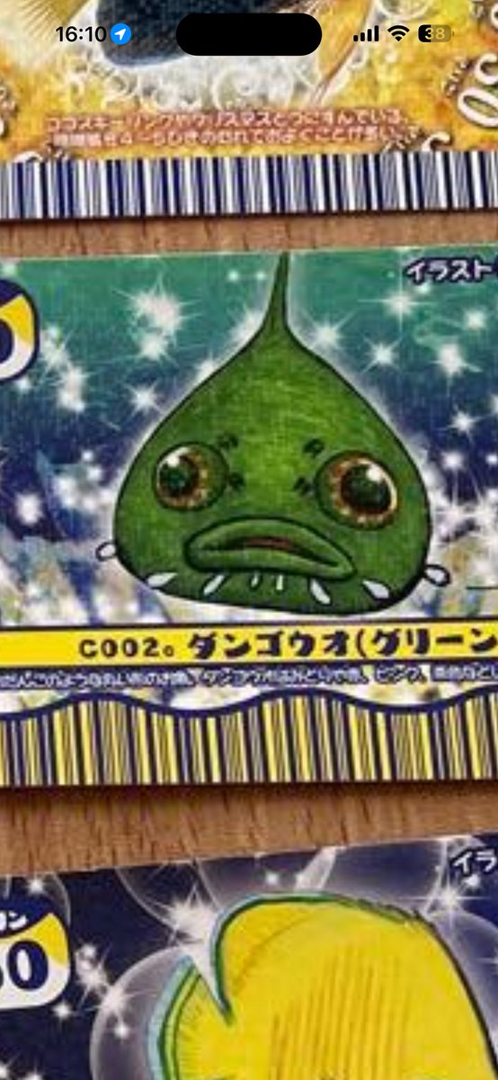 AbsoluteXeno's tweet photo. @thinmacaron50 ダンゴウオならいるよ https://t.co/5QDKvVV9Lc