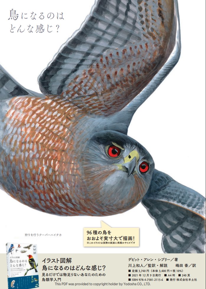 Yodosha_text's tweet photo. 鳥好きなそこのあなた！
目が合いましたね？
https://t.co/OaMbwXV8x6 https://t.co/Mulme7nCGc