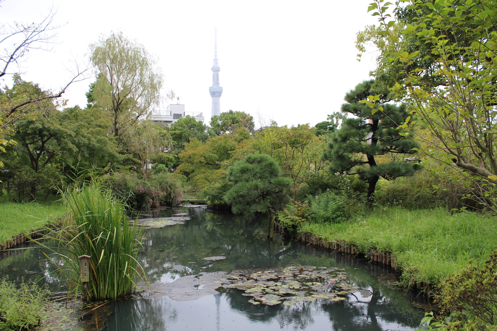 向島 百 花園