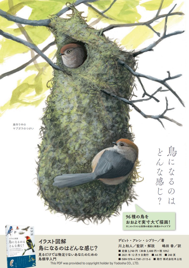 Yodosha_text's tweet photo. 鳥好きなそこのあなた！
目が合いましたね？
https://t.co/OaMbwXV8x6 https://t.co/Mulme7nCGc