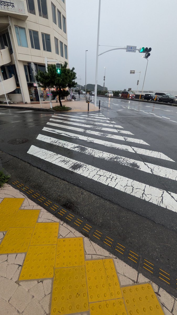 Tigers_L0ver's tweet photo. 青ブタ民の心拍数が跳ね上がる場所の写真だけ載せときますね… https://t.co/NW0LdXQGTZ