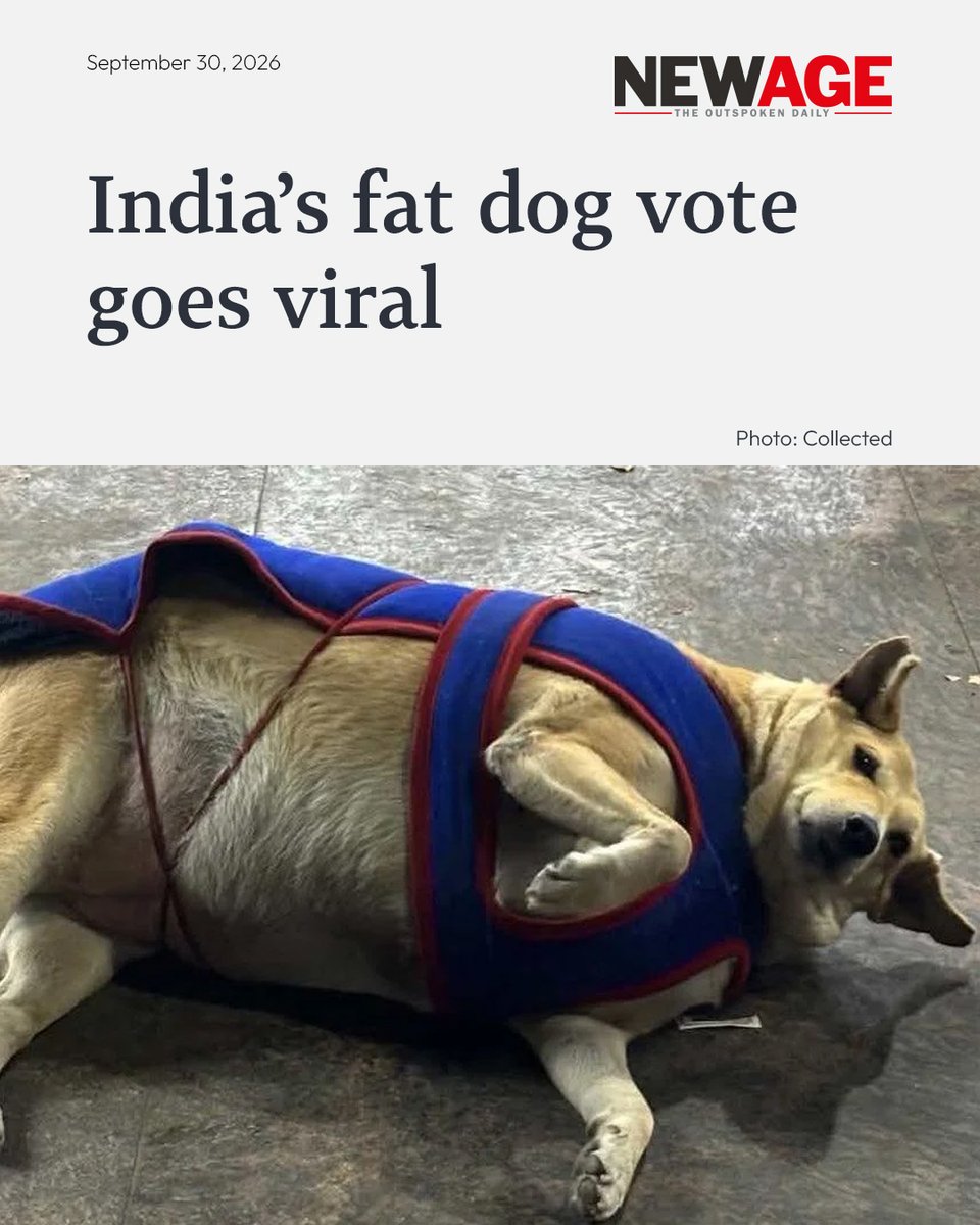 NewAgeBDcom's tweet photo. India’s capital goes to the dogs on Wednesday, as voters choose which of the city’s chubbiest canines deserves to be crowned its fattest.

Link in comments
#FatDogsOfDelhi #DelhiDogs #AnimalWelfare #newagebd https://t.co/dh1kyCOjXK