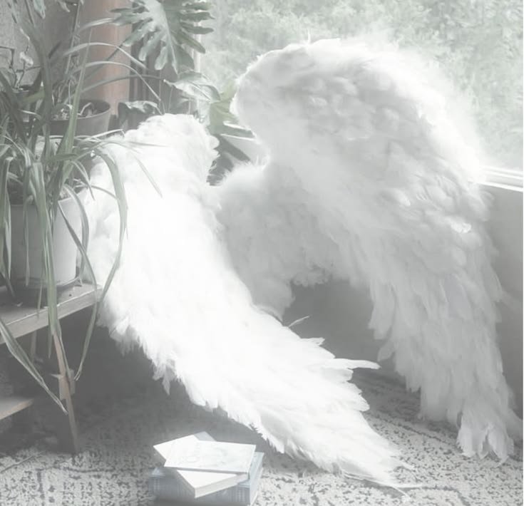 voneairr's tweet photo. ㅤㅤ
ㅤㅤㅤㅤㅤㅤ𓆩†𓆪 ⸺ Welcome to my 𝙨𝙖𝙣𝙘𝙩𝙪𝙖𝙧𝙮.
ㅤㅤ https://t.co/RvKVKQKGip