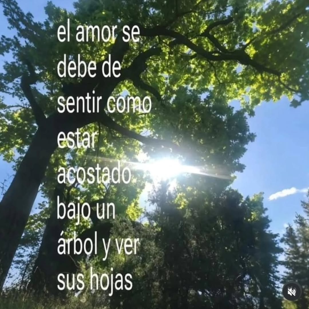 ojoscol0rsol's tweet photo. https://t.co/HX8dJJK9Ux