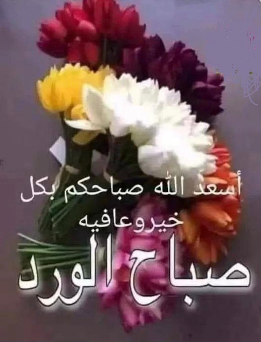 MollyTamraz's tweet photo. @nidonadmo https://t.co/8L8lY89wKt