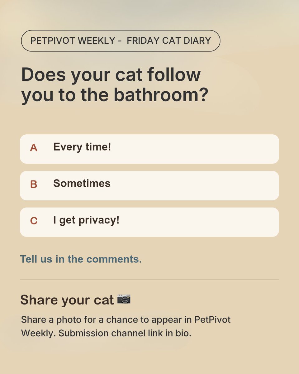 petpivot's tweet photo. Privacy? Not with cats.👀🐱 Does your cat supervise your bathroom trips too? 😂
#catmeme #catmoments #cattips #petpivot https://t.co/6hKmIUdgVd