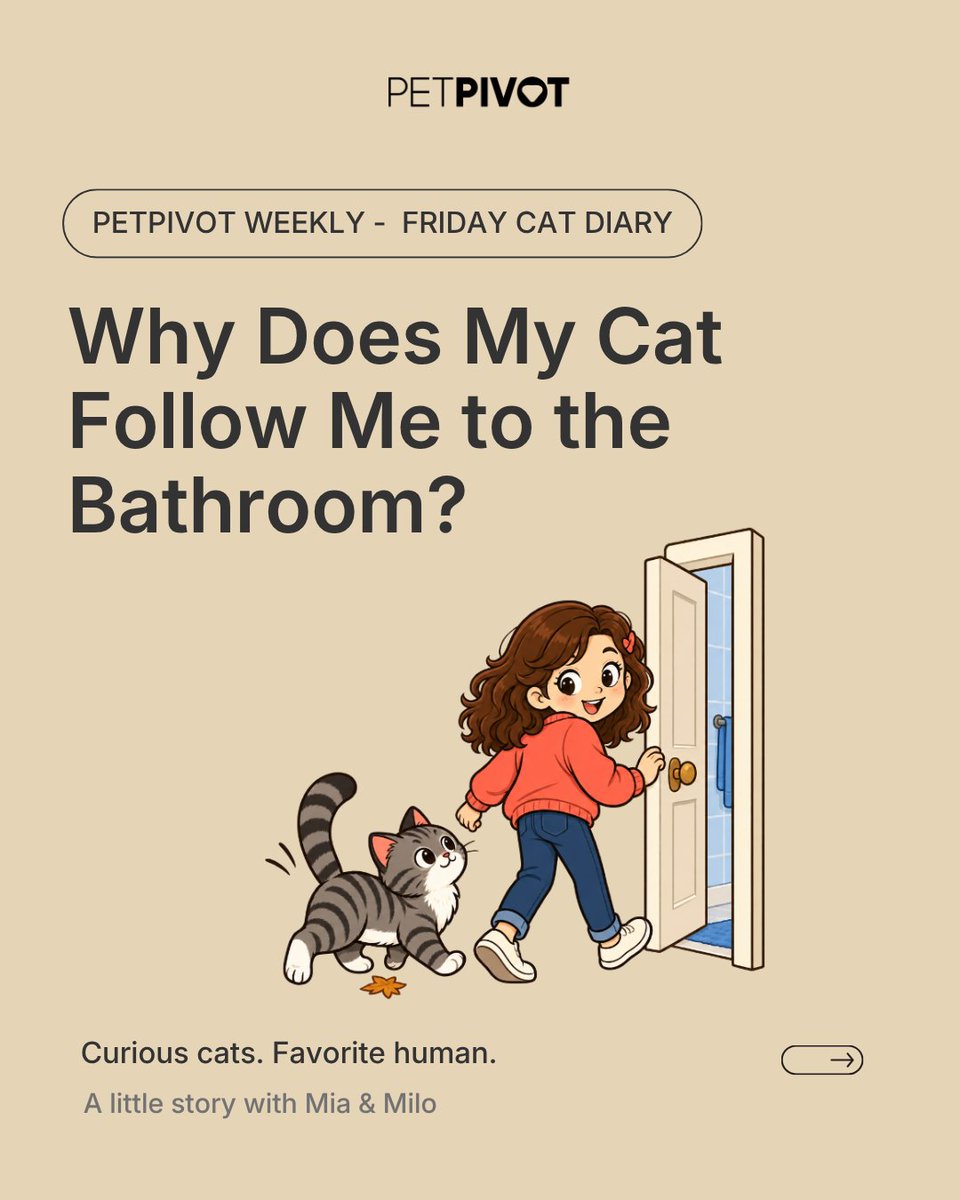 petpivot's tweet photo. Privacy? Not with cats.👀🐱 Does your cat supervise your bathroom trips too? 😂
#catmeme #catmoments #cattips #petpivot https://t.co/6hKmIUdgVd