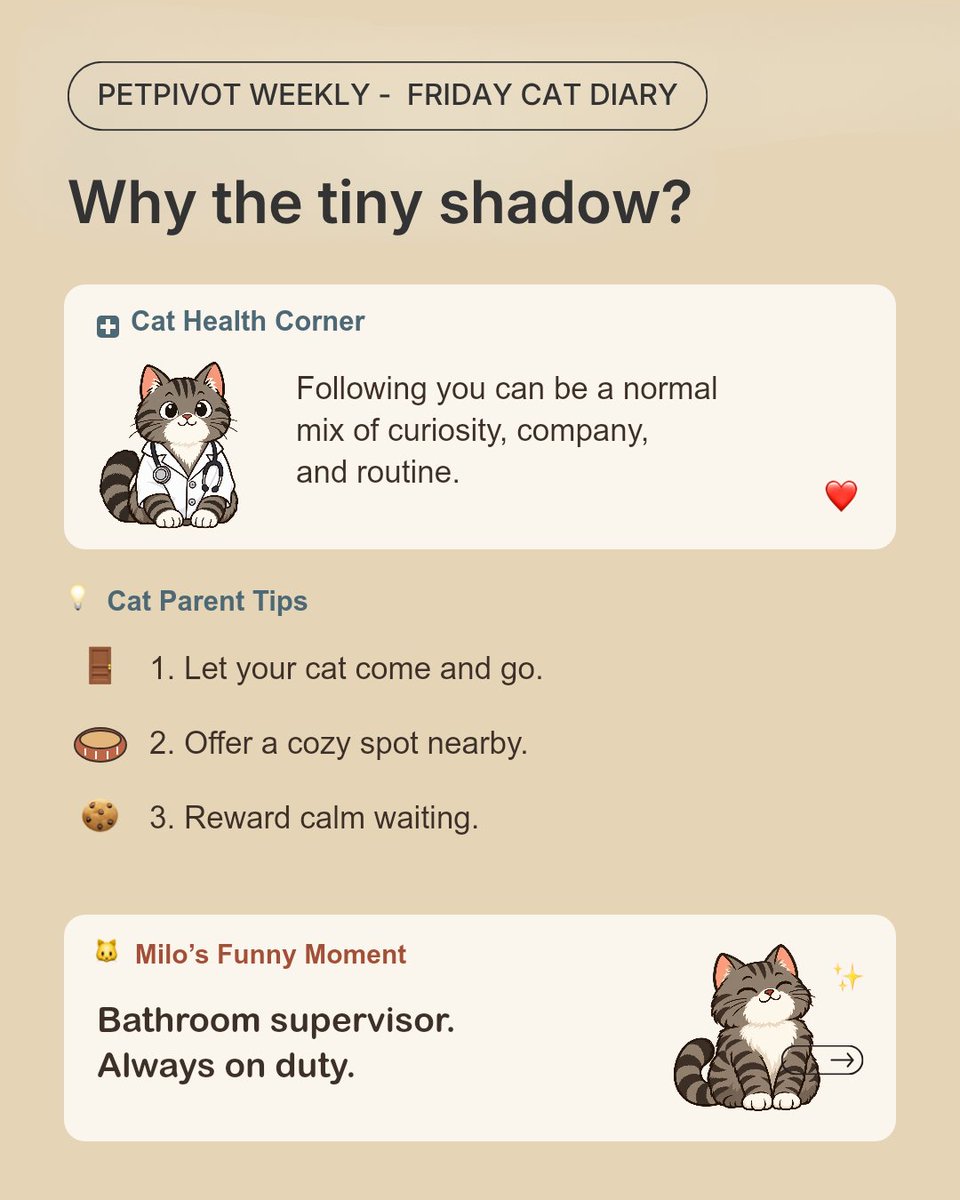 petpivot's tweet photo. Privacy? Not with cats.👀🐱 Does your cat supervise your bathroom trips too? 😂
#catmeme #catmoments #cattips #petpivot https://t.co/6hKmIUdgVd