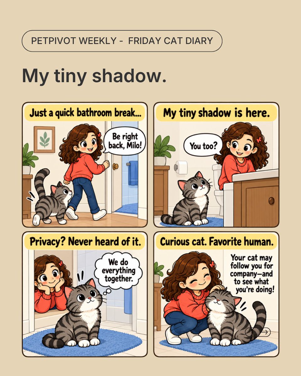 petpivot's tweet photo. Privacy? Not with cats.👀🐱 Does your cat supervise your bathroom trips too? 😂
#catmeme #catmoments #cattips #petpivot https://t.co/6hKmIUdgVd