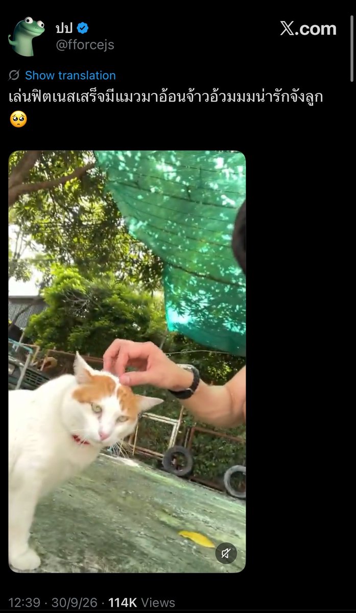 Nukcyn's tweet photo. เอ็นดูฟอสอะ ทุกอย่างเกิดขึ้นไวมาก https://t.co/hzwfWClcWC
