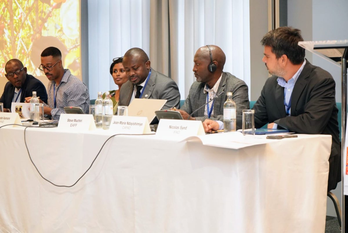 EAFFinfo's tweet photo. At the #FAFO in Nairobi, EAFF member from Burundi 🇧🇮, CAPAD, shared how it moved from short-term service contracts to becoming an #IFAD project partner. “𝗪𝗲 𝗱𝗲𝗹𝗶𝘃𝗲𝗿𝗲𝗱, 𝘀𝘁𝗮𝘆𝗲𝗱 𝗮𝗰𝗰𝗼𝘂𝗻𝘁𝗮𝗯𝗹𝗲 𝗮𝗻𝗱 𝗯𝘂𝗶𝗹𝘁 𝘁𝗿𝘂𝘀𝘁.” https://t.co/TYu41OmrhY