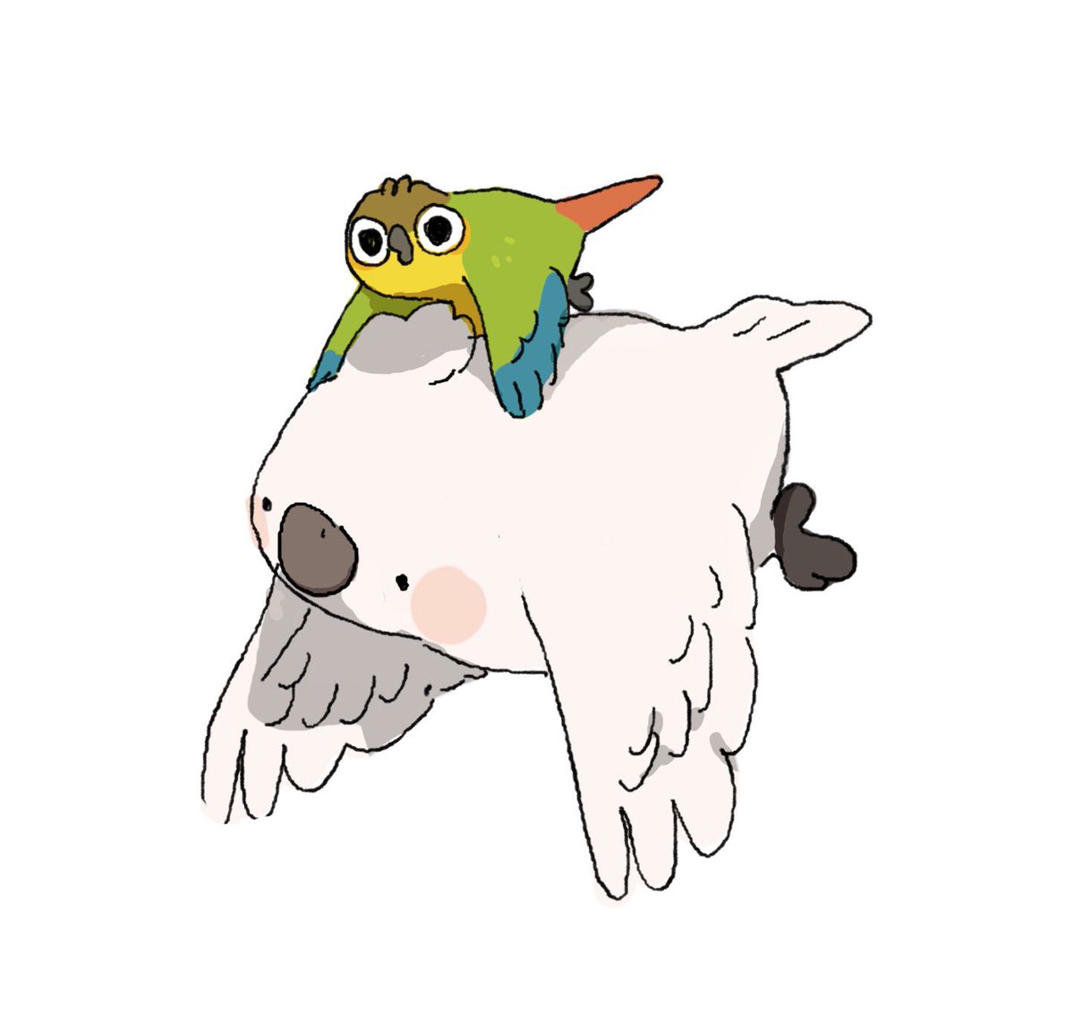 _AnnoyingBird's tweet photo. Fly higher ~Even higher! https://t.co/RnjxkSdRiO