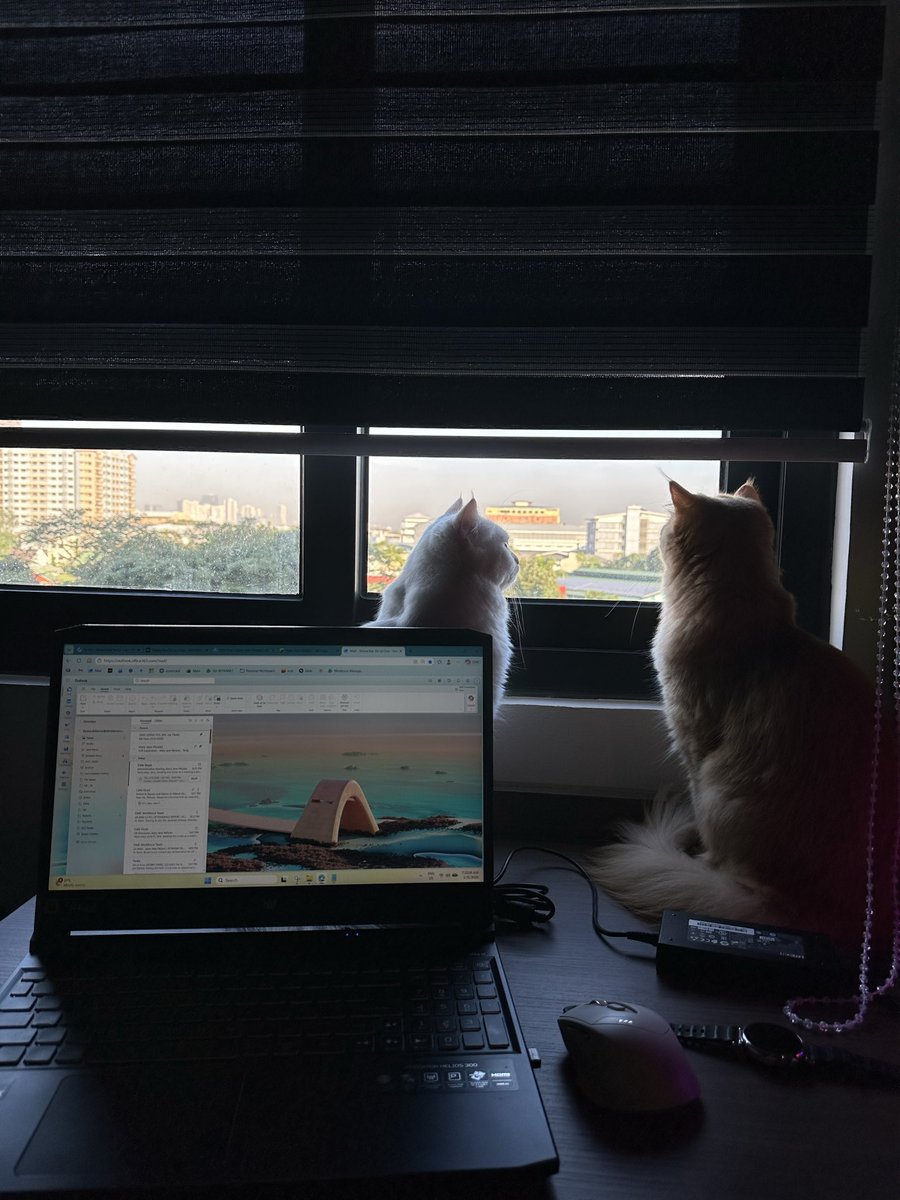 TaresaKey's tweet photo. felt better doing nothing

looking far away. https://t.co/vPPKa3kwqn