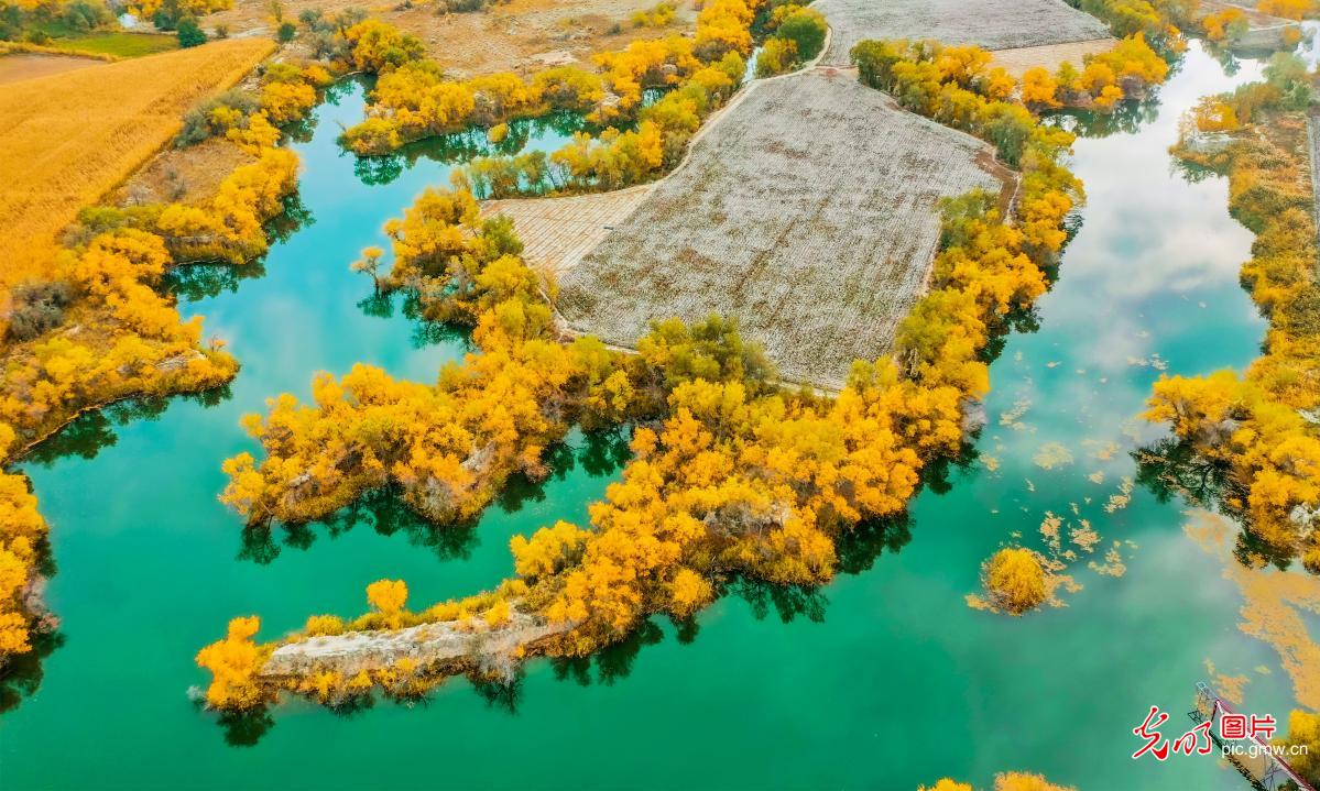 Guangming_Daily's tweet photo. Photos taken on Sept. 27, 2026, show the autumn scenery of Kizilgal Lake in Gurtu Town, Wusu, northwest China's #Xinjiang Uygur Autonomous Region. Fed by snowmelt from the #Tianshan Mountains, the natural lake features winding waterways and colorful forests along its shores, with golden foliage reflected in the clear water, creating a tranquil and picturesque autumn landscape.
https://t.co/TP2tpP8FLQ