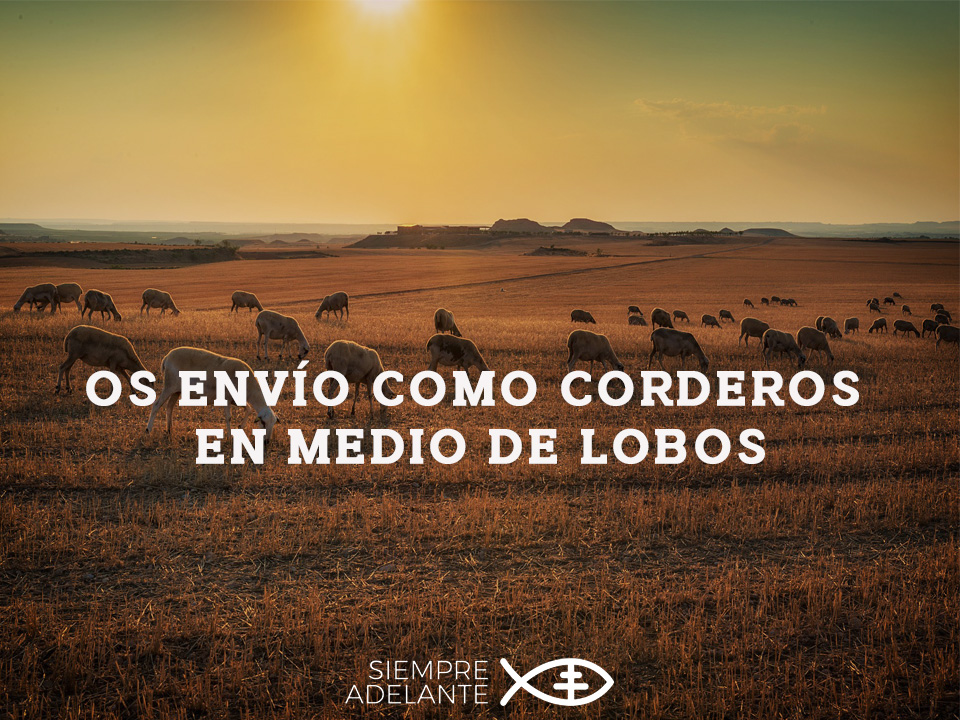 Archisevilla1's tweet photo. #EvangelioDelDía| Lc 10, 1-12. Descansará sobre ellos vuestra paz.

https://t.co/dUwFwl3xqe

#PalabraViva #SiempreAdelante https://t.co/49qBaEMdob