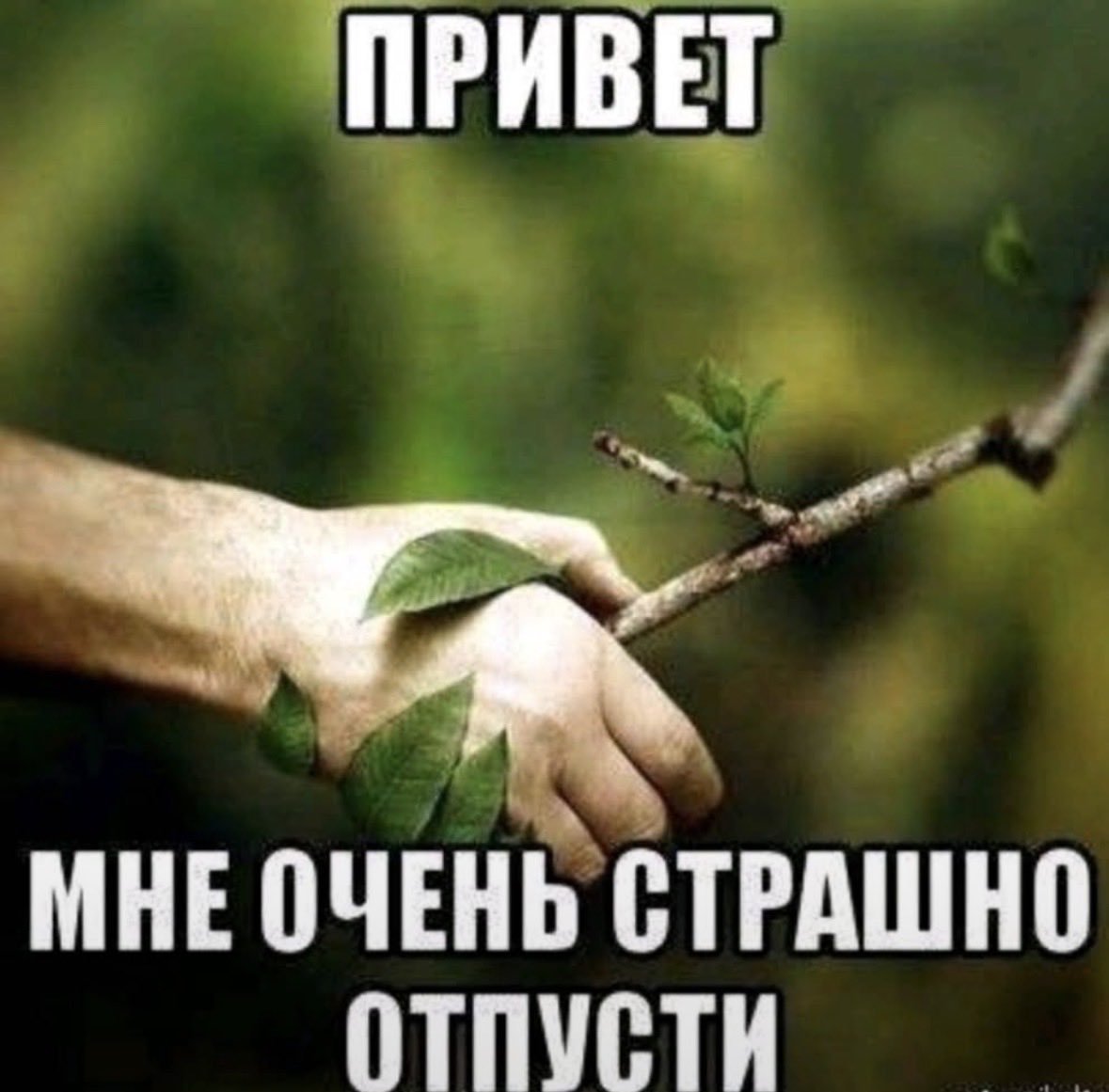 cassettegi35vu's tweet photo. У нас контроль по заруб, пожелайте удачи https://t.co/MXtzZvzzmX
